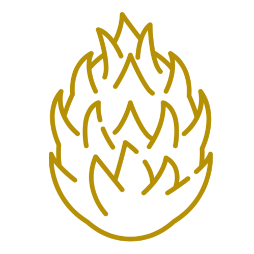 Brut Aromen von Dragonfruit Icon