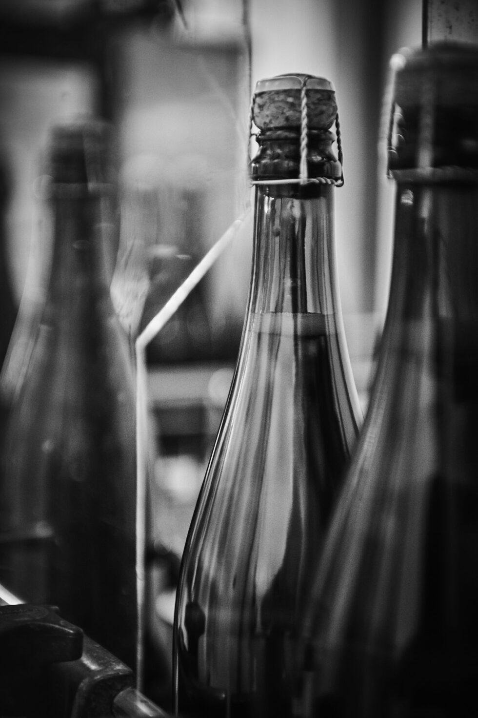 Champagne bottles in the cellar, photographed in black and white