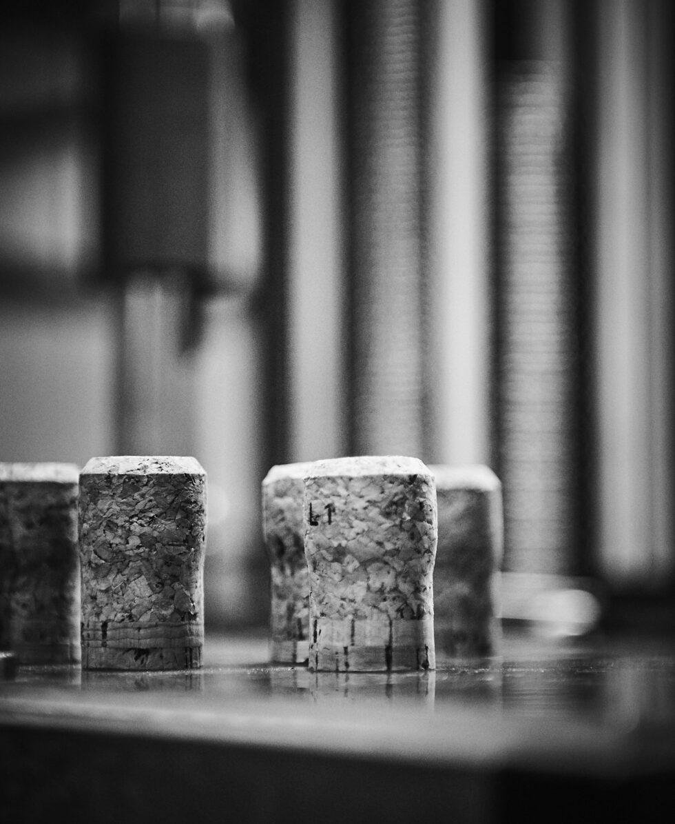 Champagne bottles resting in the cellar